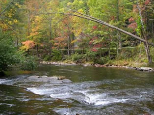 fly fishing the tellico river
