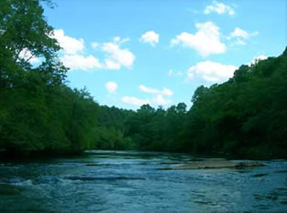 toccoa river fly fishing